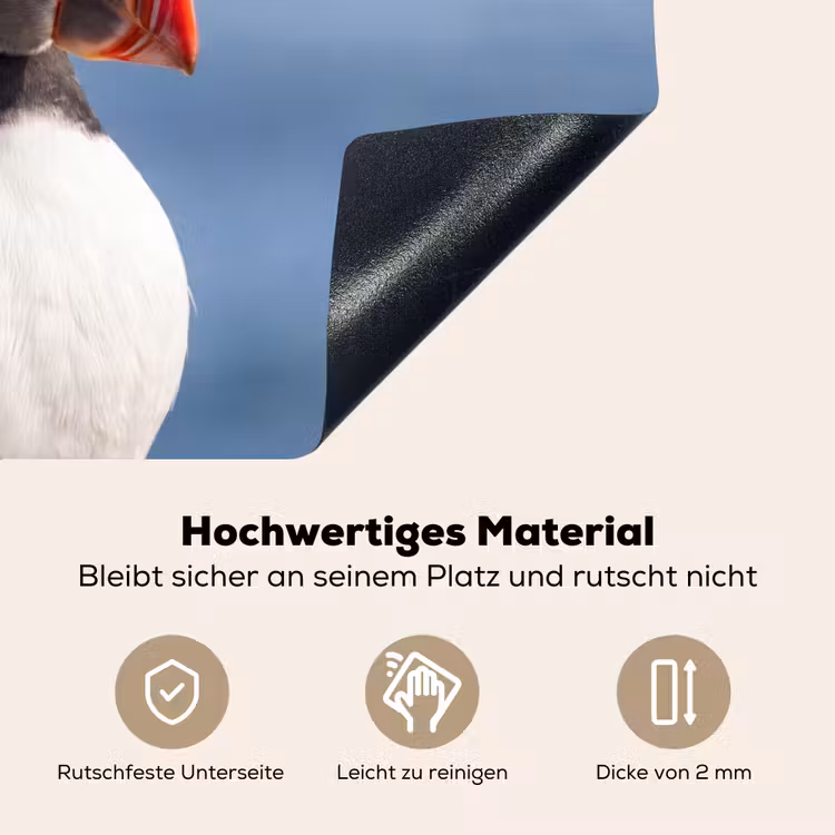 Papegaaiduiker - Portret - Natuur Inductie beschemer met haakjes klein -ky-onderkant-de