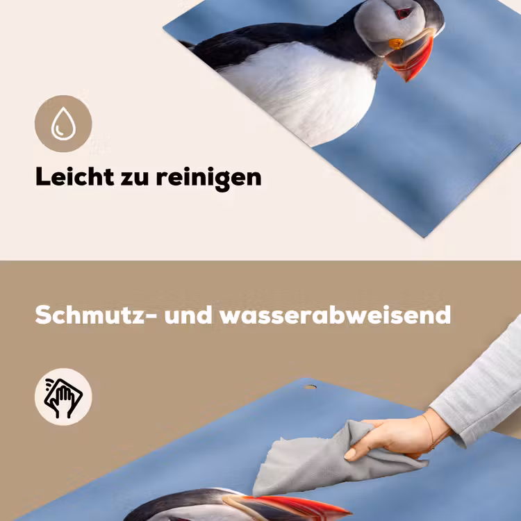 Papegaaiduiker - Portret - Natuur Inductie beschemer met haakjes klein -ky-schoon-de