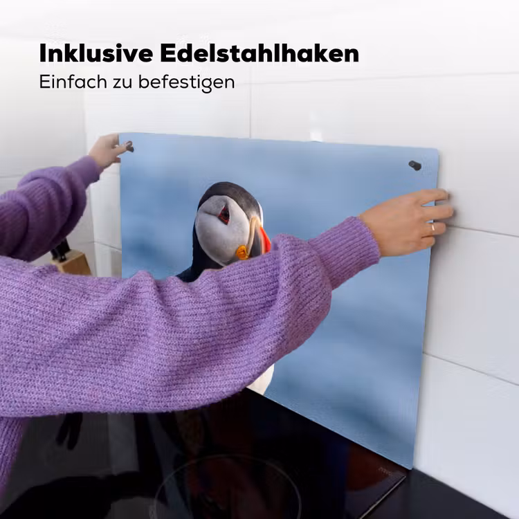 Papegaaiduiker - Portret - Natuur Inductie beschemer met haakjes klein -ky-ophangen-de