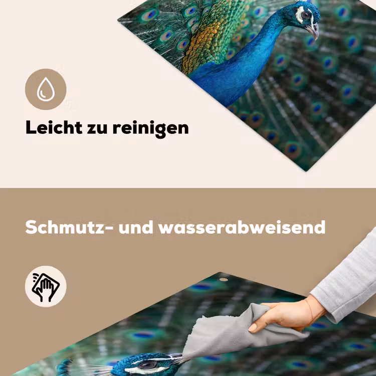Pauw - Veren - Blauw Inductie beschemer met haakjes klein -ky-schoon-de