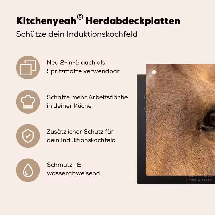 Paard - Oog - Bruin Inductie beschemer met haakjes klein -ky-usp-de