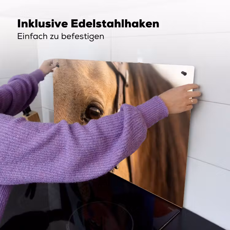 Paard - Oog - Bruin Inductie beschemer met haakjes klein -ky-ophangen-de
