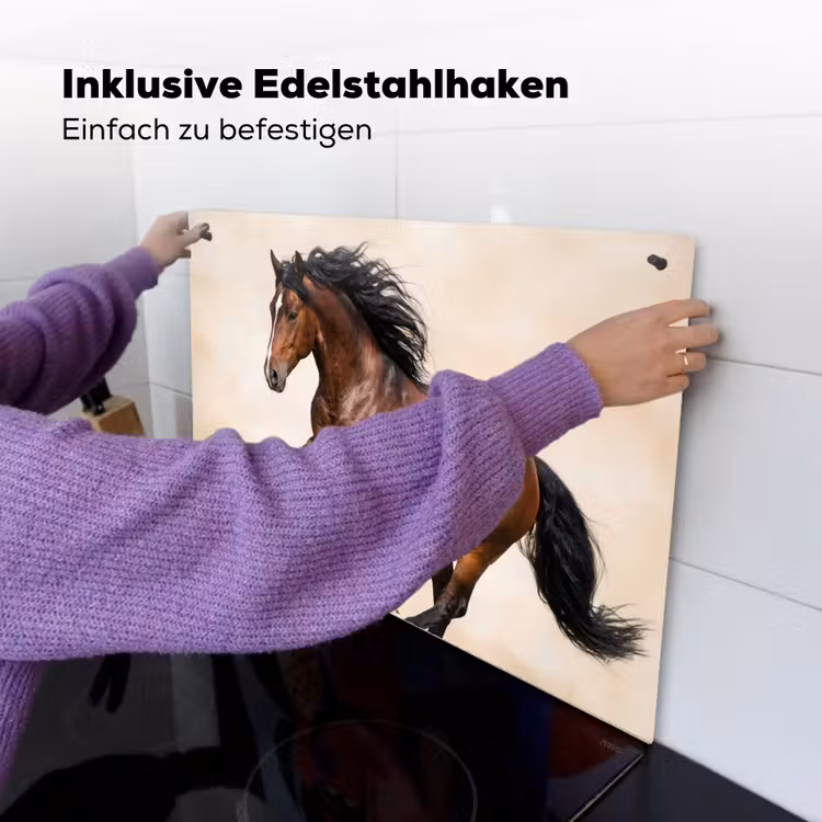 Paard - Galop - Energie Inductie beschemer met haakjes klein -ky-ophangen-de