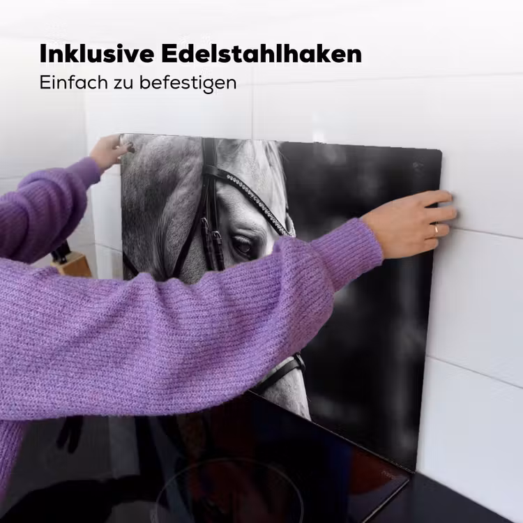 Paard - Schimmel - Portret Inductie beschemer met haakjes klein -ky-ophangen-de