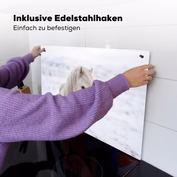 Paard - Kop - Winter - Dieren - Wit Inductie beschemer met haakjes klein -ky-ophangen-de
