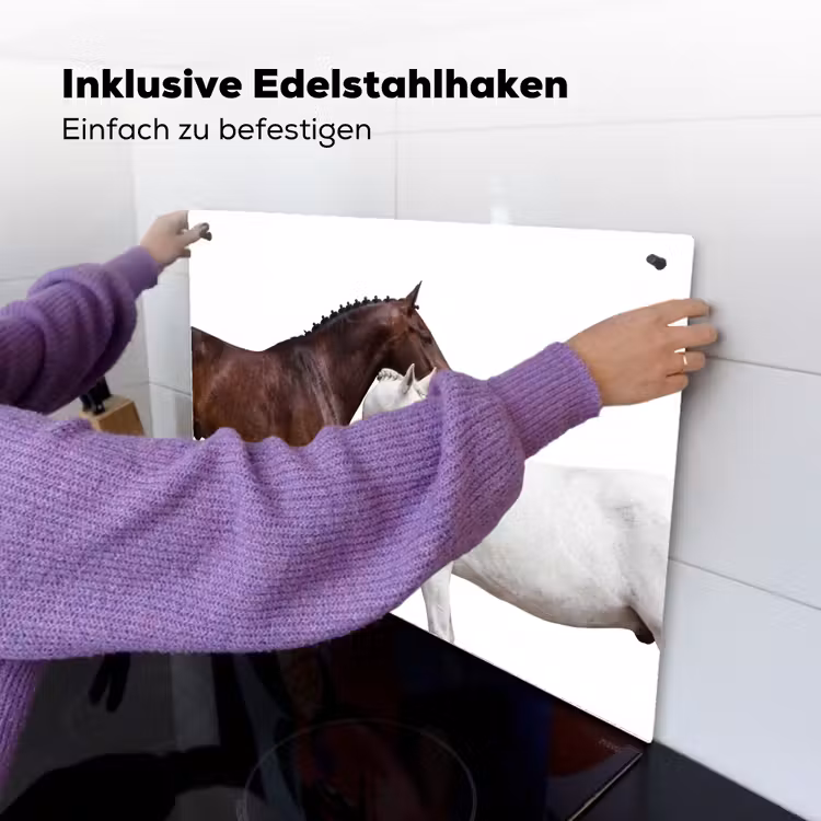 Paard - Modern - Balans Inductie beschemer met haakjes klein -ky-ophangen-de