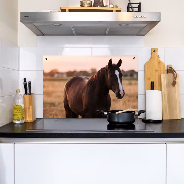 Paard - Zonsondergang - Bruin Inductie beschemer met haakjes klein -sfeer2