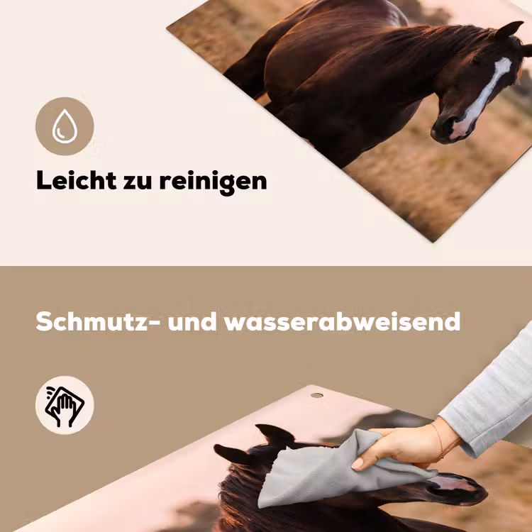 Paard - Zonsondergang - Bruin Inductie beschemer met haakjes klein -ky-schoon-de