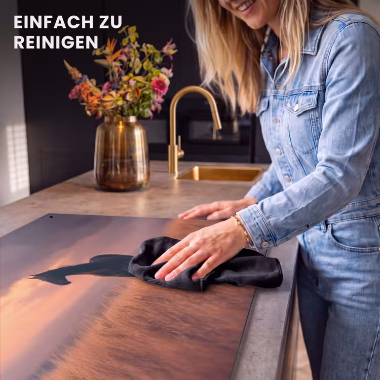 2-in-1 Herdabdeckplatte & Spritzschutz - Pferd - Wolken - Offenes Feld - Paard - Wolken - Open veld Inductie beschemer met haakjes klein