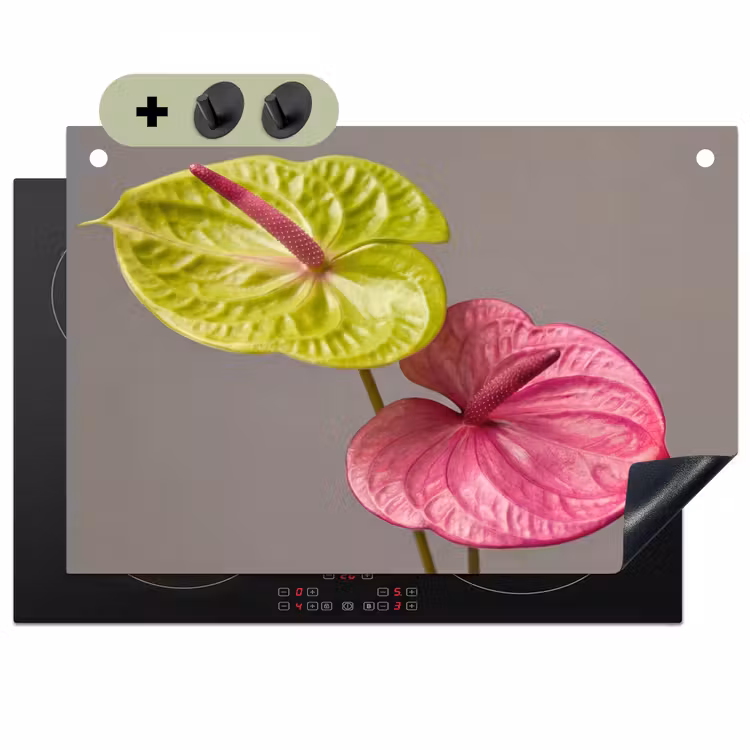 Planten - Anthurium - Groen - Roze Inductie beschemer met haakjes klein -3d