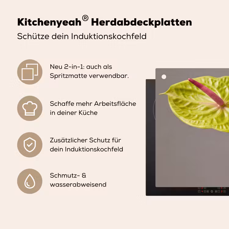 Planten - Anthurium - Groen - Roze Inductie beschemer met haakjes klein -ky-usp-de