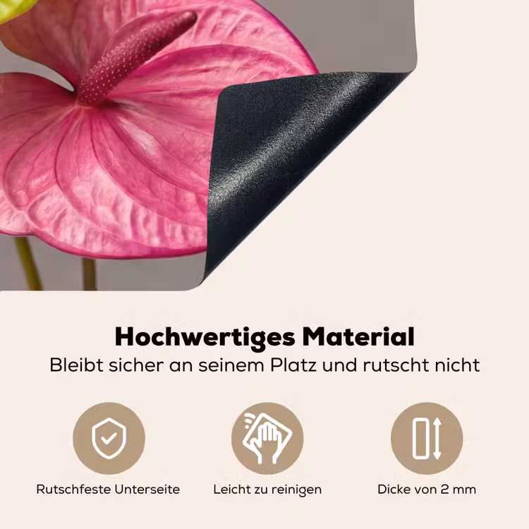 Planten - Anthurium - Groen - Roze Inductie beschemer met haakjes klein -ky-onderkant-de