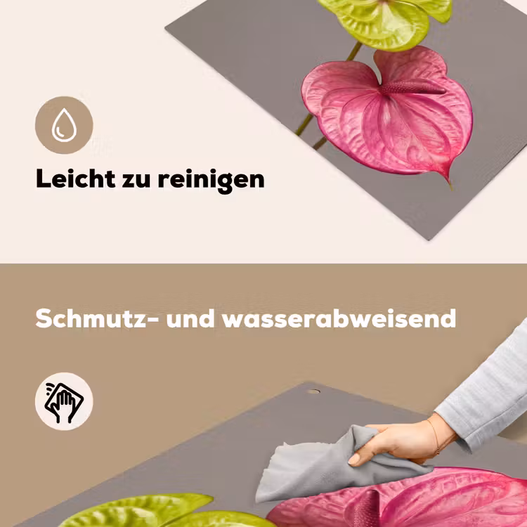 Planten - Anthurium - Groen - Roze Inductie beschemer met haakjes klein -ky-schoon-de