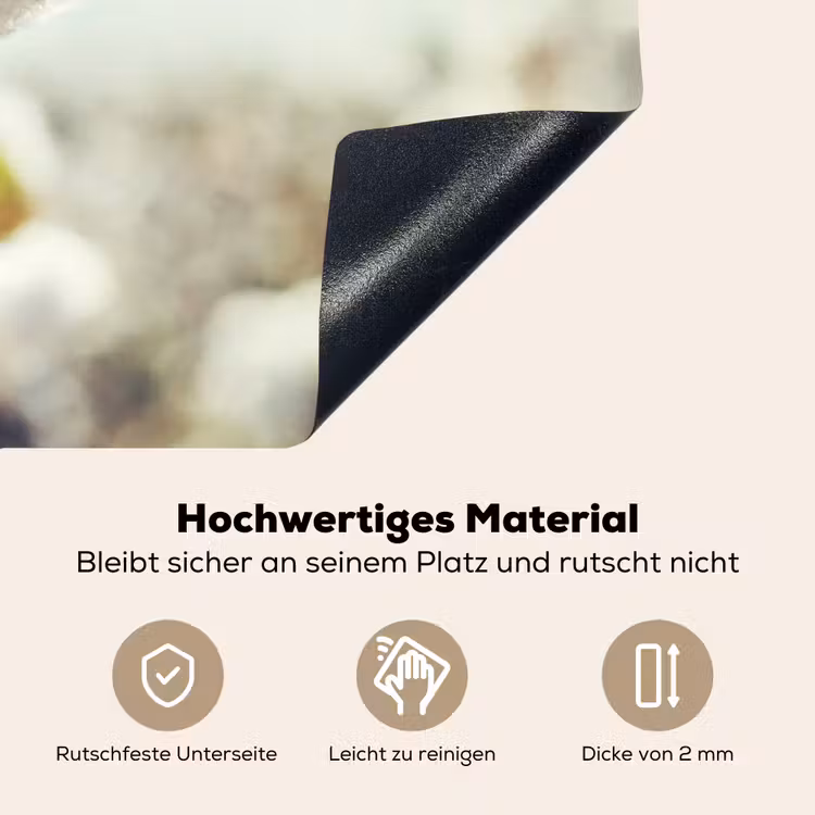 2-in-1 Herdabdeckplatte & Spritzschutz - Pflanzen - Blume - Zweig - Natur - Planten - Bloem - Tak - Natuur Inductie beschemer met haakjes klein