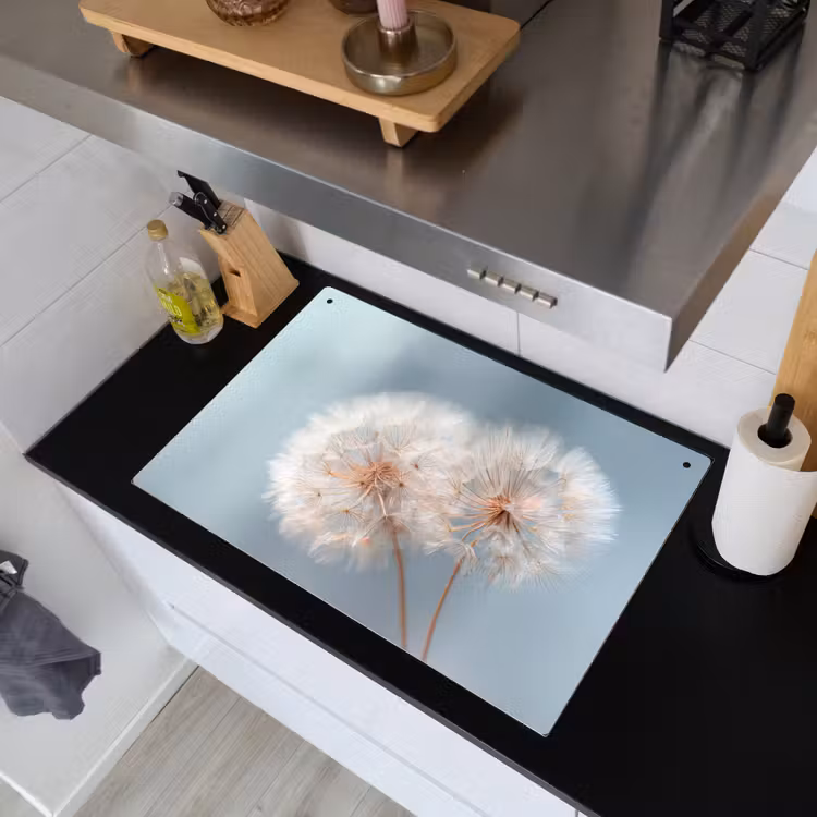 2-in-1 Herdabdeckplatte & Spritzschutz - Pusteblumen - Flauschig - Weiß - Paardenbloemen - Pluisjes - Wit Inductie beschemer met haakjes klein