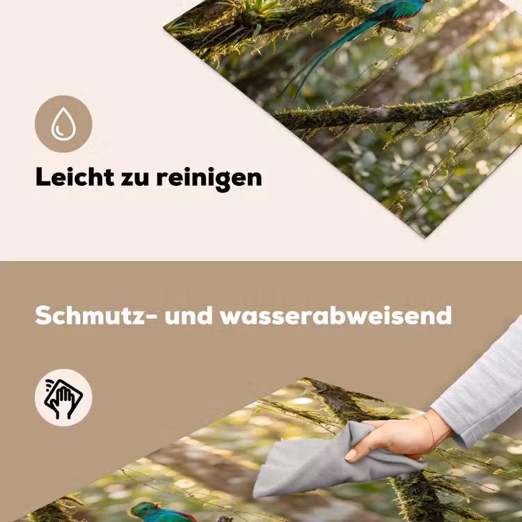 Quetzal - Jungle - Natuur - Groen Inductie beschemer met haakjes klein -ky-schoon-de