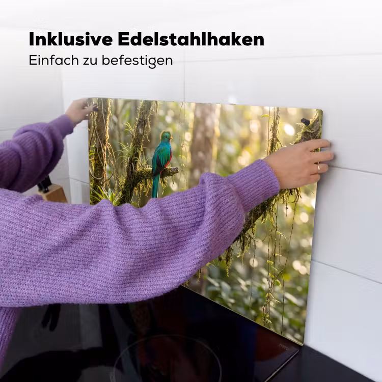 Quetzal - Jungle - Natuur - Groen Inductie beschemer met haakjes klein -ky-ophangen-de