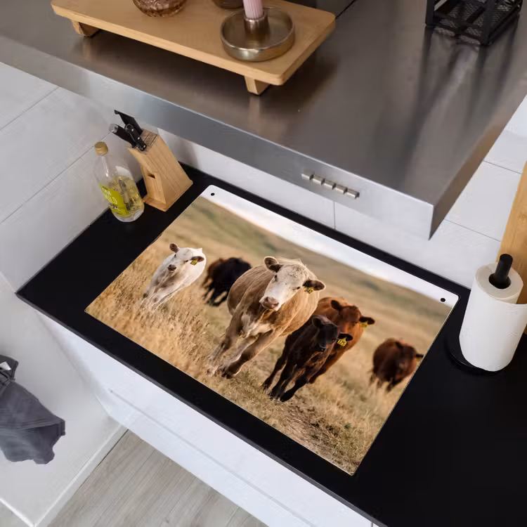 Runderen - Kudde - Landschap - Weide - Rustig Inductie beschemer met haakjes klein -sfeer1