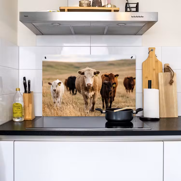 Runderen - Kudde - Landschap - Weide - Rustig Inductie beschemer met haakjes klein -sfeer2
