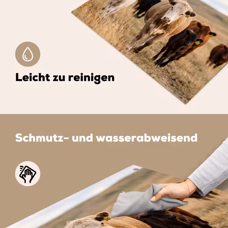 Runderen - Kudde - Landschap - Weide - Rustig Inductie beschemer met haakjes klein -ky-schoon-de