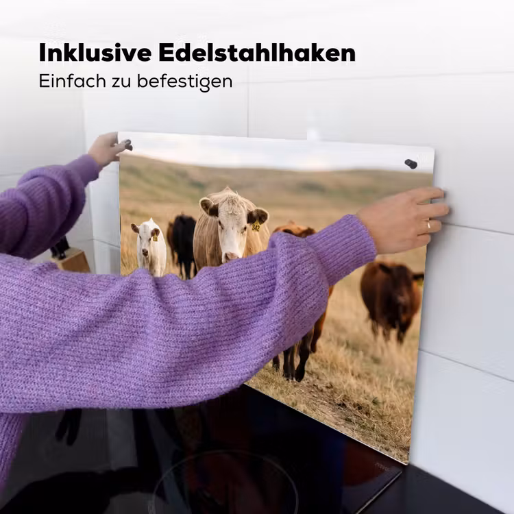 Runderen - Kudde - Landschap - Weide - Rustig Inductie beschemer met haakjes klein -ky-ophangen-de