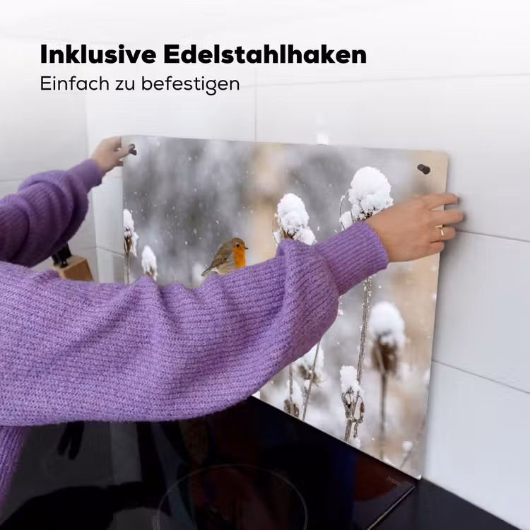 Roodborstje - Gedroogde bloem - Sneeuw - Winter - Vertederend Inductie beschemer met haakjes klein -ky-ophangen-de