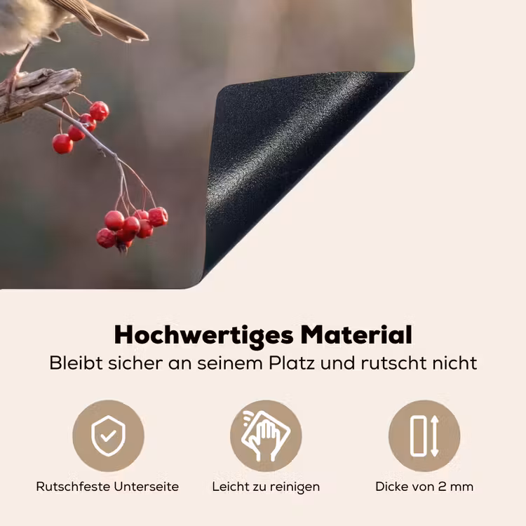 Roodborst - Tak - Bessen - Natuur Inductie beschemer met haakjes klein -ky-onderkant-de