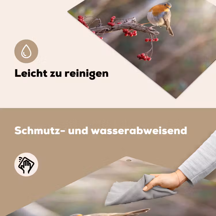 Roodborst - Tak - Bessen - Natuur Inductie beschemer met haakjes klein -ky-schoon-de