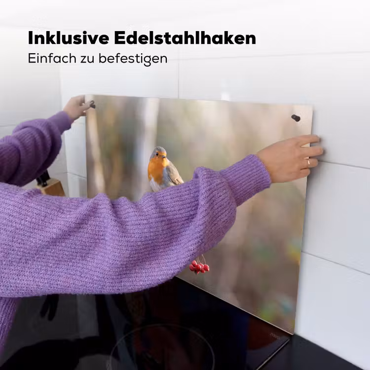 Roodborst - Tak - Bessen - Natuur Inductie beschemer met haakjes klein -ky-ophangen-de