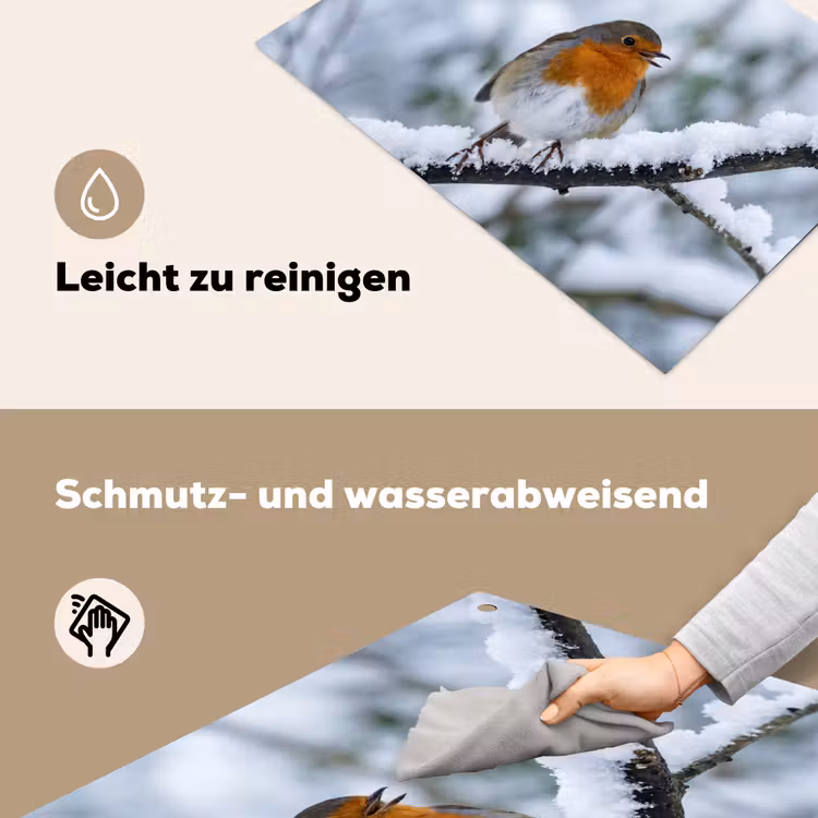 Roodborstje - Tak - Sneeuw - Winter - Levendig Inductie beschemer met haakjes klein -ky-schoon-de