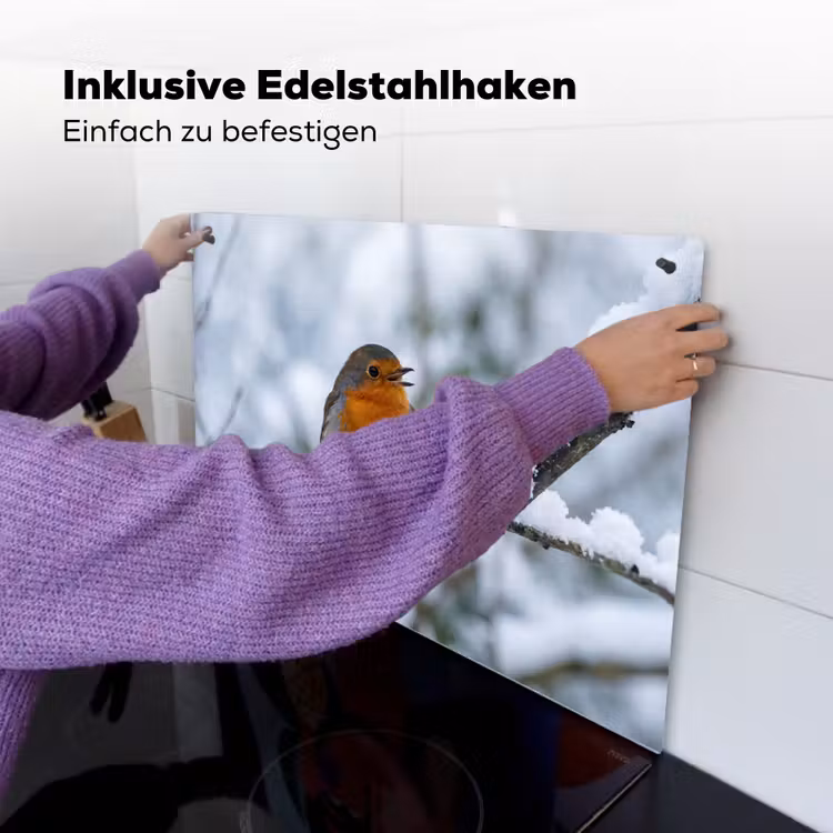 Roodborstje - Tak - Sneeuw - Winter - Levendig Inductie beschemer met haakjes klein -ky-ophangen-de