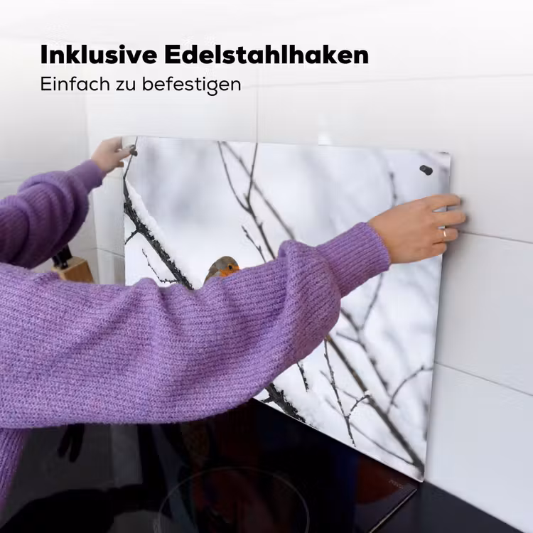 Roodborstje - Tak - Sneeuw - Winter - Levendig Inductie beschemer met haakjes klein -ky-ophangen-de