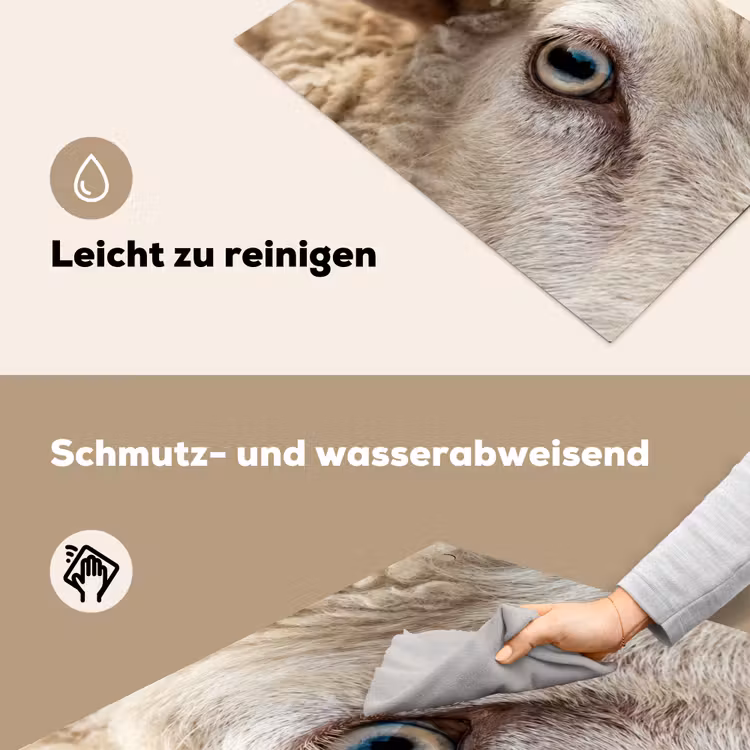 Schaap - Oog - Wit Inductie beschemer met haakjes klein -ky-schoon-de