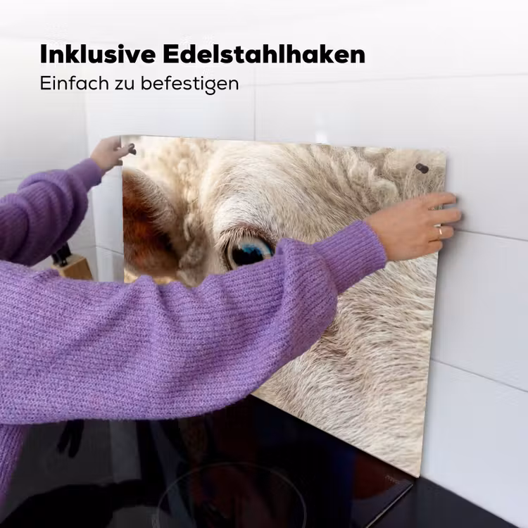 Schaap - Oog - Wit Inductie beschemer met haakjes klein -ky-ophangen-de