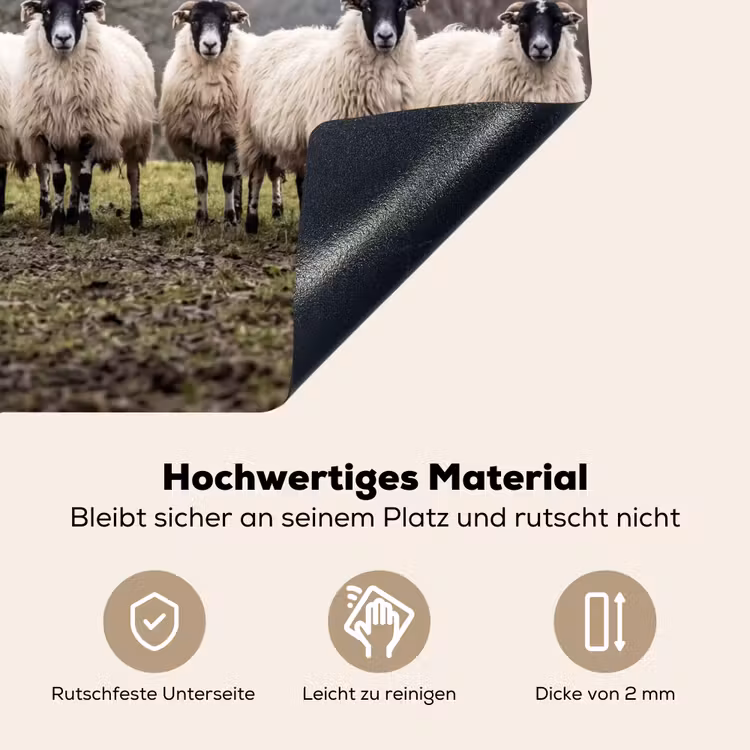 Schapen - Rij - Weide - Dieren - Platteland Inductie beschemer met haakjes klein -ky-onderkant-de