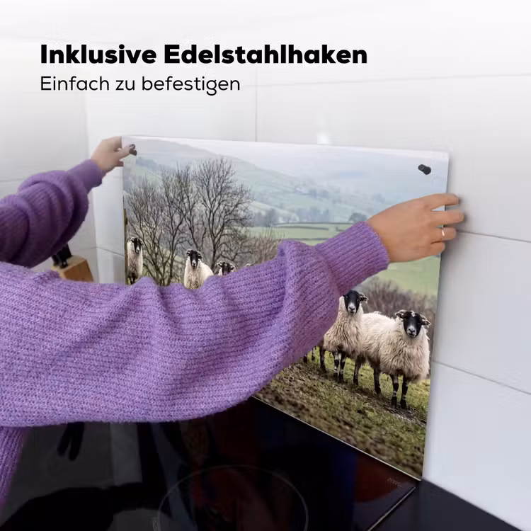 Schapen - Rij - Weide - Dieren - Platteland Inductie beschemer met haakjes klein -ky-ophangen-de