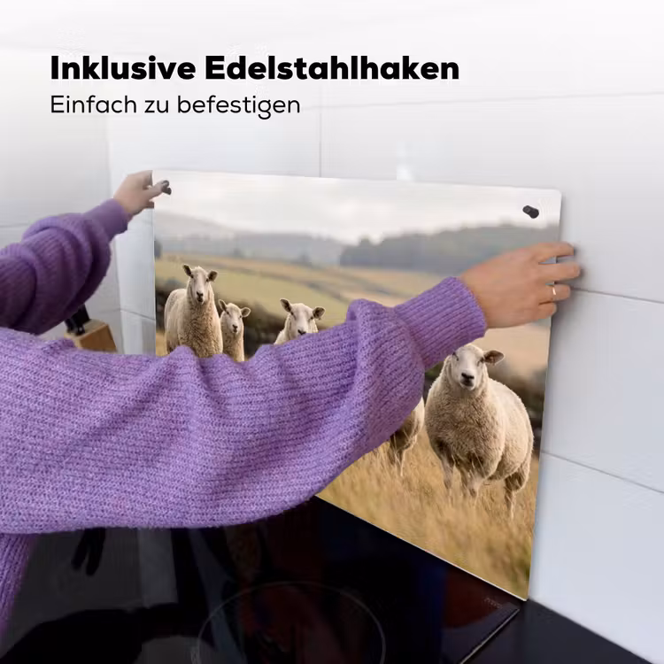 Schapen - Weidenlandschap - Heuvels Inductie beschemer met haakjes klein -ky-ophangen-de
