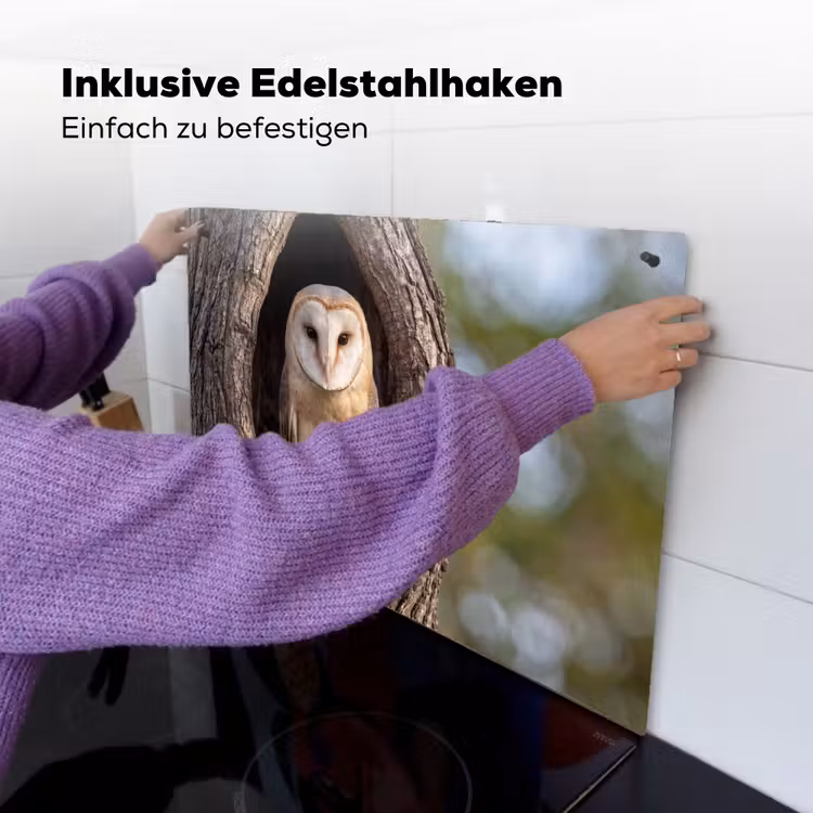 Kerkuil - Boom - Natuur - Bruin Inductie beschemer met haakjes klein -ky-ophangen-de
