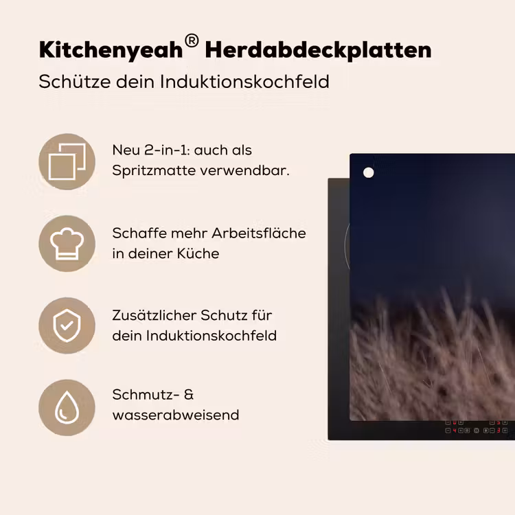 Kerkuil - Maan - Nacht Inductie beschemer met haakjes klein -ky-usp-de