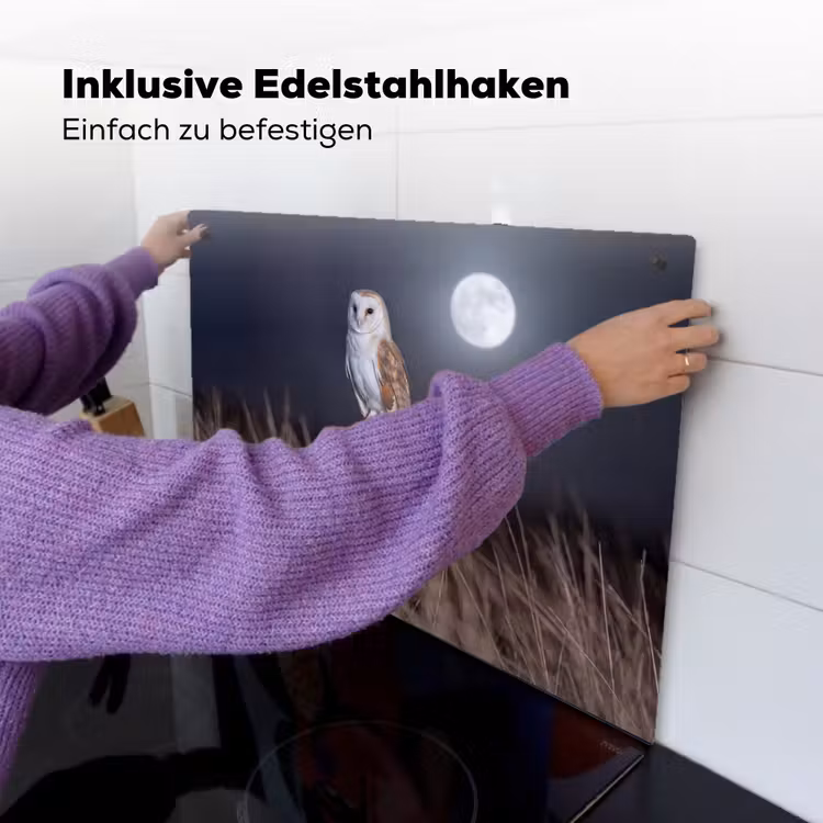 Kerkuil - Maan - Nacht Inductie beschemer met haakjes klein -ky-ophangen-de