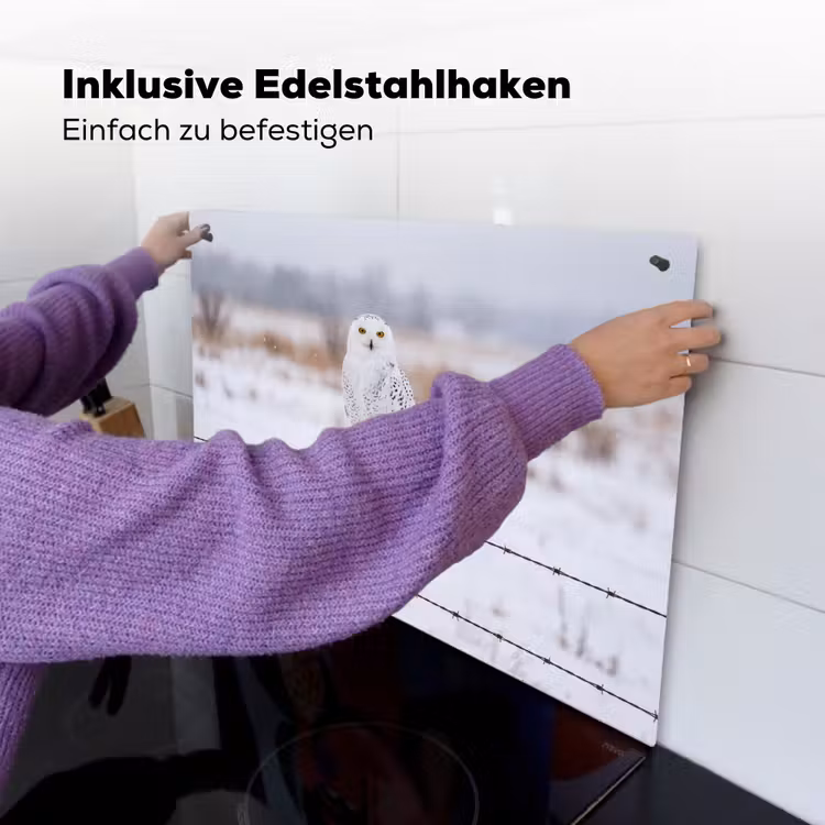 Sneeuwuil - Hek - Sneeuw - Wit Inductie beschemer met haakjes klein -ky-ophangen-de