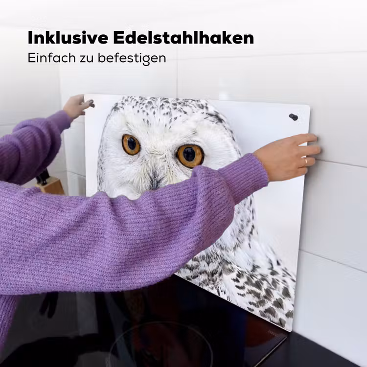 Sneeuwuil - Oog - Wildlife - Wit Inductie beschemer met haakjes klein -ky-ophangen-de