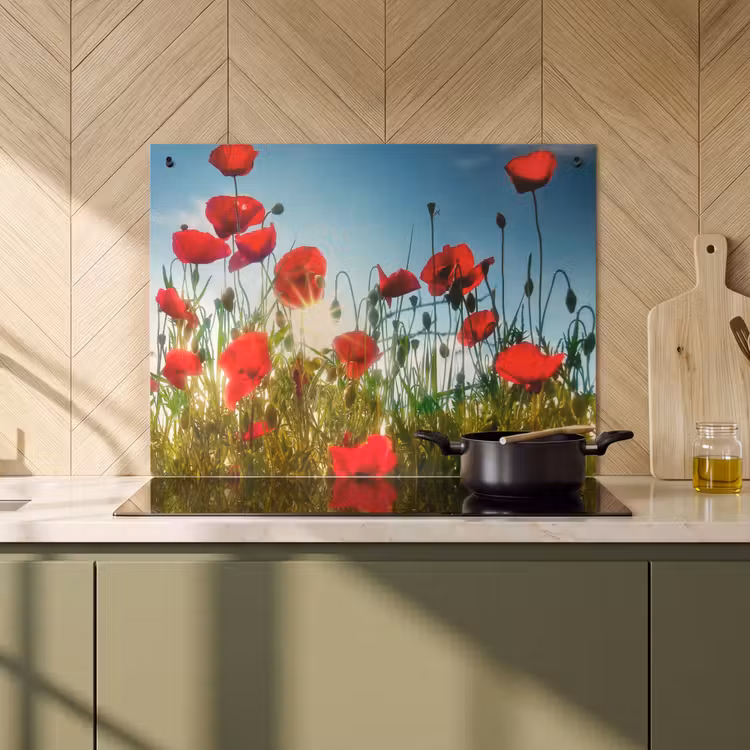 2-in-1 Herdabdeckplatte & Spritzschutz - Sommermohn Schönheit - Zomerse Klaprozenpracht Inductie beschemer met haakjes klein