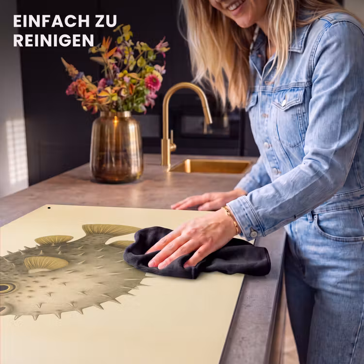 2-in-1 Herdabdeckplatte & Spritzschutz - Stacheln - Fisch - Aufgeblasen - Braun - Stekels - Vis - Opgeblazen - Bruin Inductie beschemer met haakjes klein