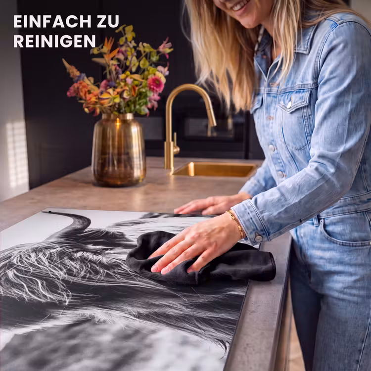2-in-1 Herdabdeckplatte & Spritzschutz - Stille Kraft - Stille Kracht Inductie beschemer met haakjes klein