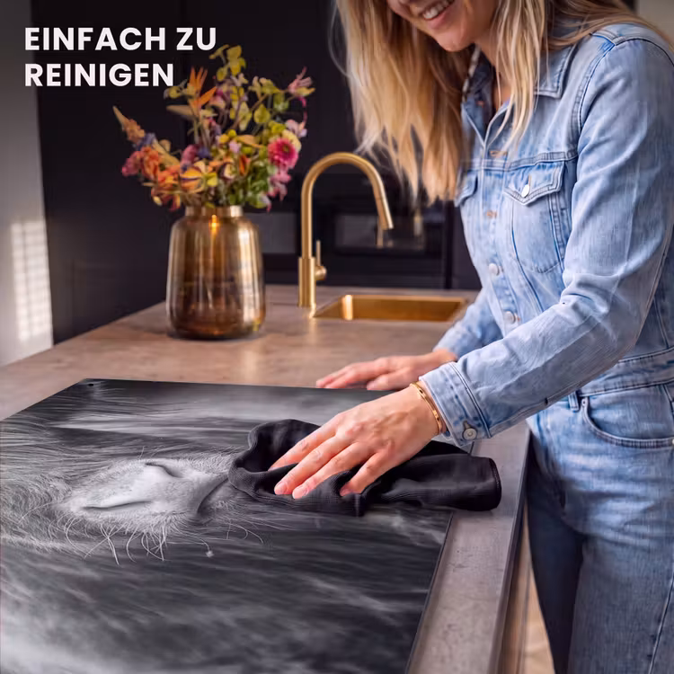 2-in-1 Herdabdeckplatte & Spritzschutz - Stoischer Blick - Stoïcijnse Blik Inductie beschemer met haakjes klein