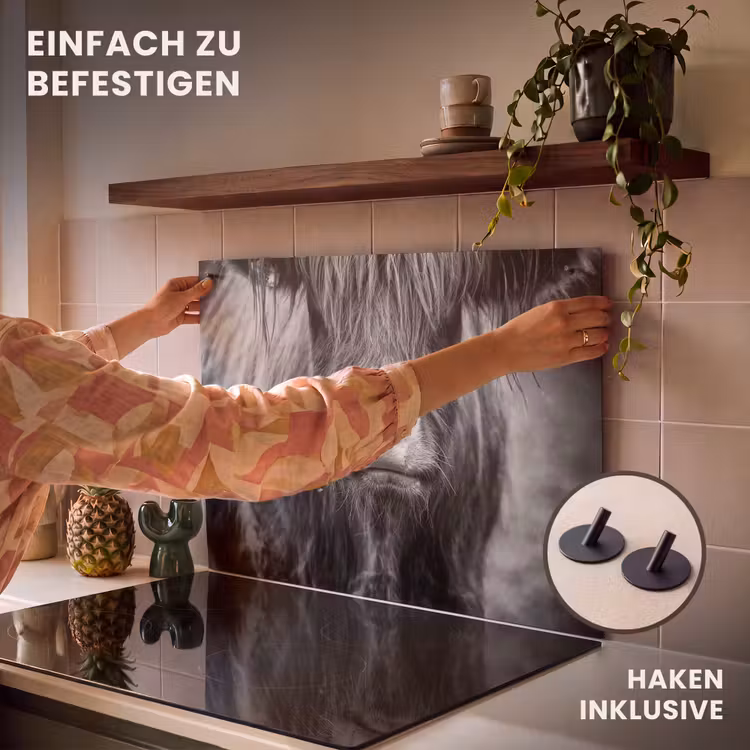 2-in-1 Herdabdeckplatte & Spritzschutz - Stoischer Blick - Stoïcijnse Blik Inductie beschemer met haakjes klein