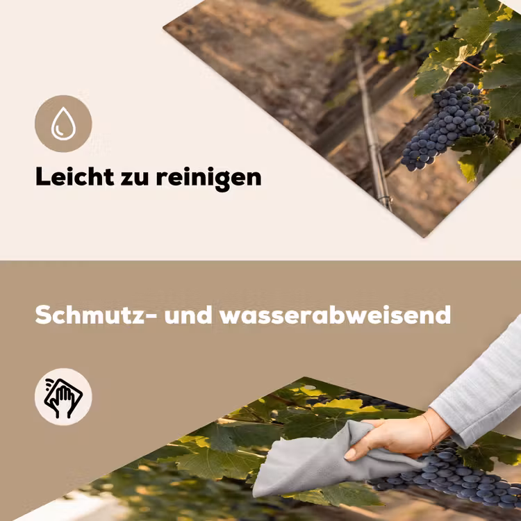 Druiven - Wijngaard - Zonlicht Inductie beschemer met haakjes klein -ky-schoon-de