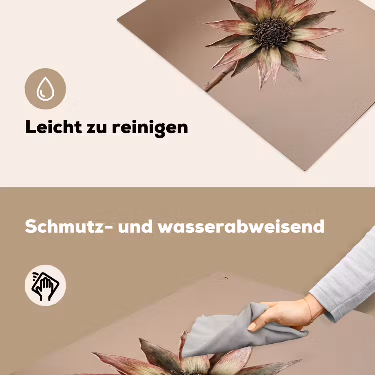 Droogbloem - Protea - Vintage - Beige - Rustiek Inductie beschemer met haakjes klein -ky-schoon-de