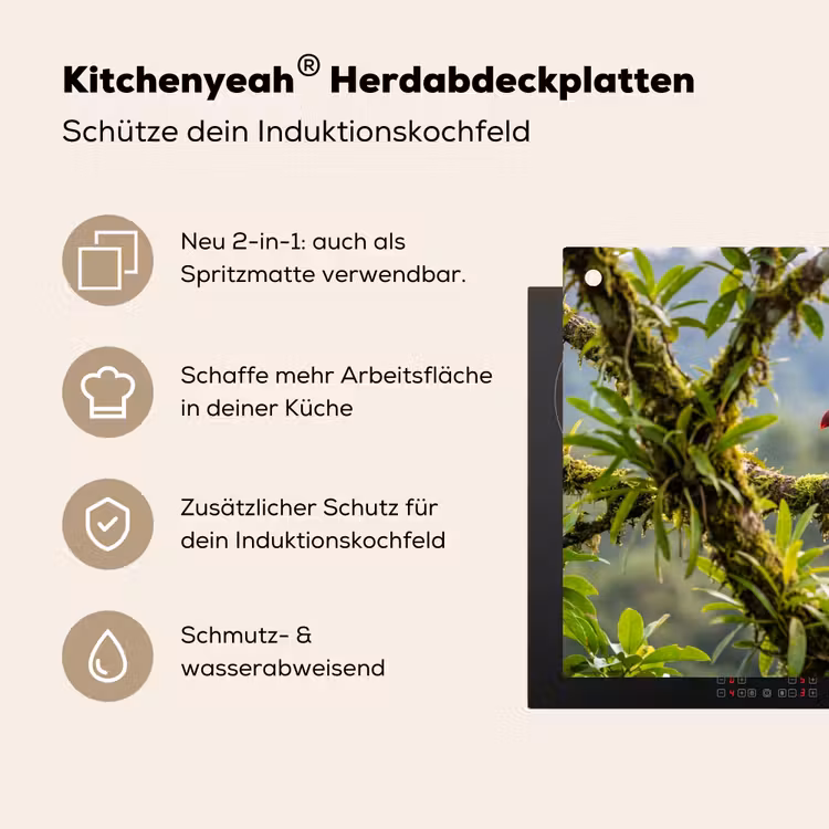 Toekan - Jungle - Natuur - Kleurrijk Inductie beschemer met haakjes klein -ky-usp-de